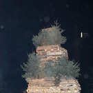 2426224.jpg