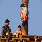 2425288.jpg