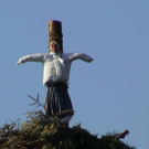 2425289.jpg