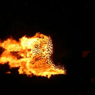 2425450.jpg