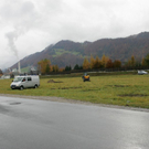 normal_03112009bombeffaktivnews_09.jpg