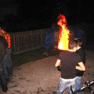 2460685.jpg