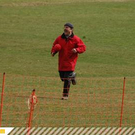 2495419.jpg