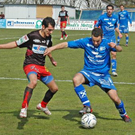 2506738.jpg