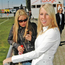 2506745.jpg