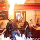 2516453.jpg