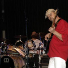 2520037.jpg