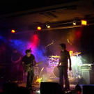 2520041.jpg