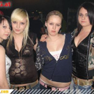 2529542.jpg