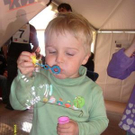 2533455.jpg