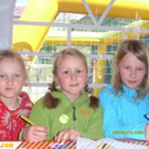 2533506.jpg