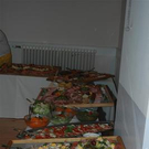 2546056.jpg