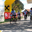 2556316.jpg