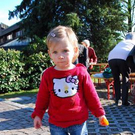 2556812.jpg