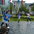 2557072.jpg