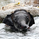Bilder des Tages 04.11.09