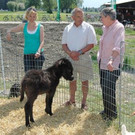 Kusters Hof in Fußach vorgestellt