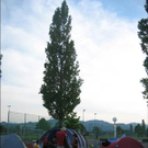 2579821.jpg