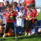 2580099.jpg