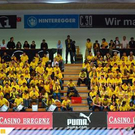 2597446.jpg