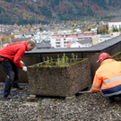 Wucher-Helikopter transportierten 30 Beton-Blumentröge