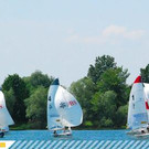 2606639.jpg