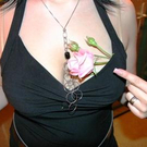 2616253.jpg