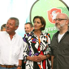 2616481.jpg