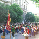 2619504.jpg