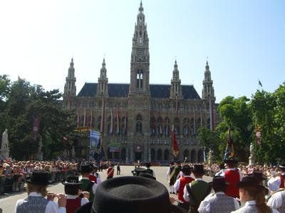 2619515.jpg