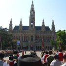 2619515.jpg