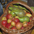 _DSC00060003_1.JPG