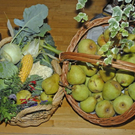 _DSC00070004_1.JPG
