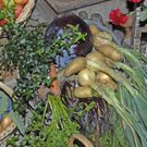 _DSC00140008_1.JPG