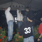 2640796.jpg