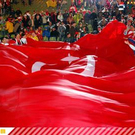 2641396.jpg