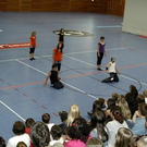 2645530.jpg
