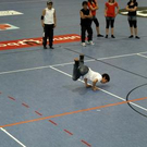 2645534.jpg