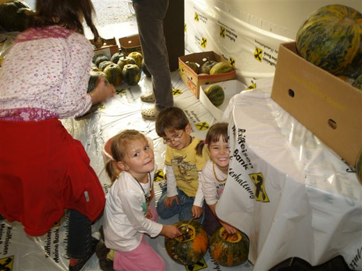 PA270004.JPG