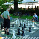 2658616.jpg