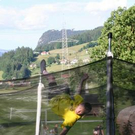 2657380.jpg