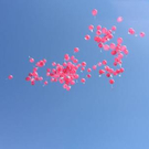 2675449.jpg