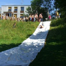 2675453.jpg