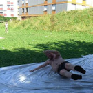 2675454.jpg