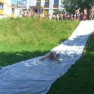 2675466.jpg