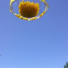 2683725.jpg
