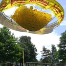 2683747.jpg