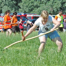2683645.jpg
