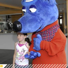 2688942.jpg