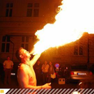 2690912.jpg
